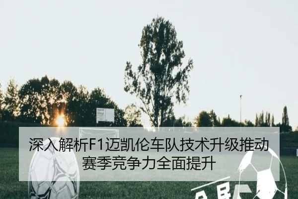 img_1791778330391_445_1_622.jpg